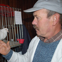 Sava Hariba